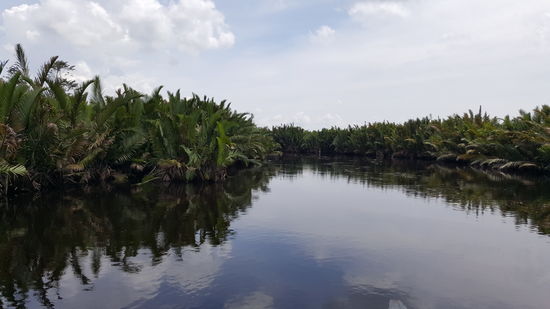 Wir fahren weiter in den Nationalpark, also in den Dschungel hinein