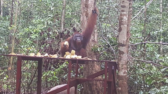 Der Boss ist schon beeindruckend..