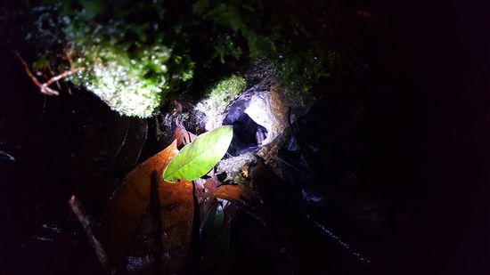 Man sieht den Hintern und Beine