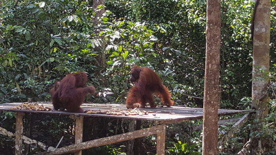 Bald kommt noch eine Mutter mit Baby dazu