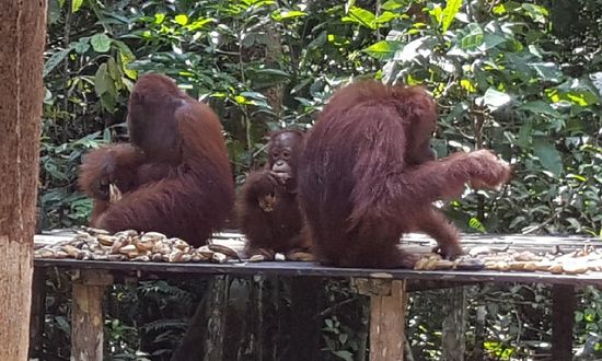 Es ist aber genug für alle da