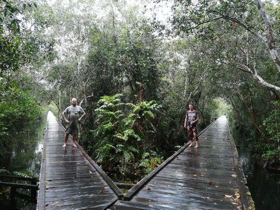 Idee von Faris für ein „Spiegelbild“