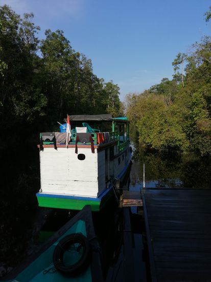 In der Hochsaison schippern hier an die 90 Boote herum. Jetzt sind es grade mal so 10 Stück...