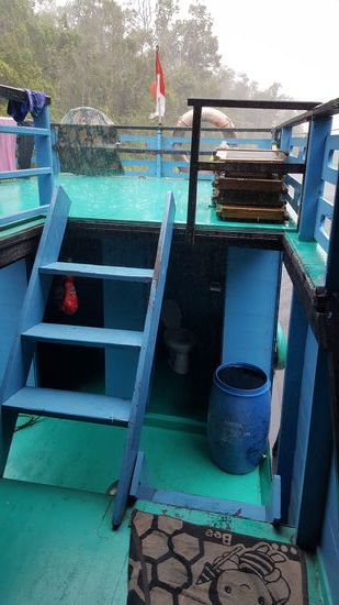 ...dann fängt es wieder fürchterlich an zu regnen...da unten ist übrigens unsere Toilette...