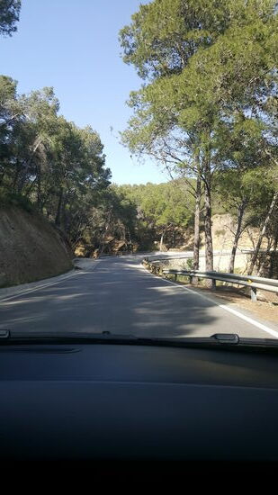 Kurz vor dem Ziel, verfahren wir uns jedoch, wir sind viel zu weit...