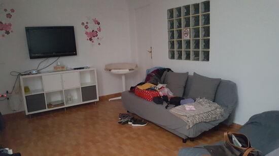 Das Wohnzimmer mit den 2 Sofas, die notfalls noch als Betten genutzt werden können