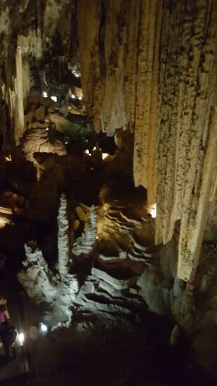 Die Höhle wurde 1959 von 5 Freunden zufällig entdeckt, die Fledermäuse fangen wollten.