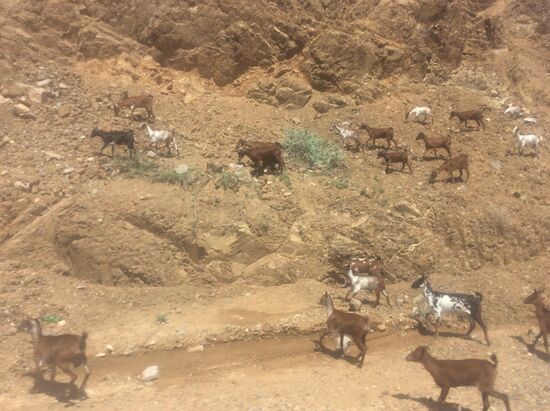 4 Stunden Fahrt bis zum Basecamp