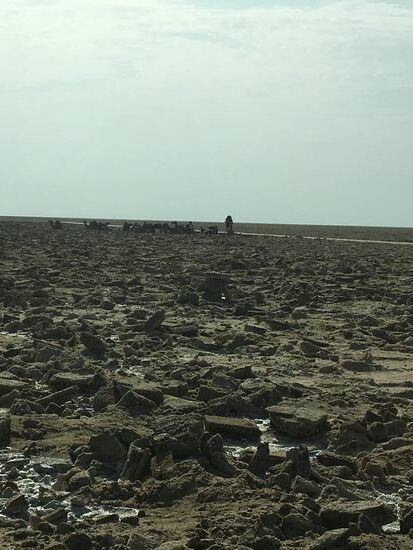 Es ist erst 8 Uhr, aber trotzdem ist die Hitze schon unerträglich...