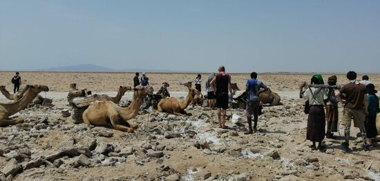 Hier wird das Salz zu Blöcken a 6kg geformt—jedes Kamel schafft etwa 30 Stück dieser Blöcke zu transportieren. Diese werden dann ins nächste Dorf transportiert um sie dort als Lecksteine für Tiere zu verkaufen.