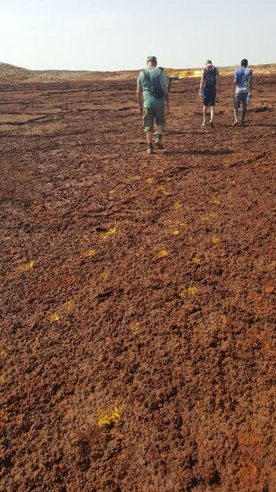 Wir erfahren, dass diese Flächen wandern. Somit sieht die Landschaft jedesmal anders aus...
