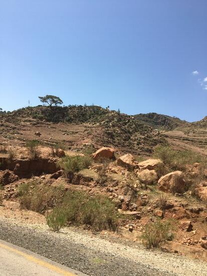 Zuerst geht es auch ganz zügig und wir schaffen die ersten Kilometer in kurzer Zeit