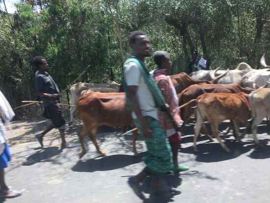 Nach einer Stunde Stop geht es weiter. Laut Navi sind es nur noch etwas mehr als 100 km