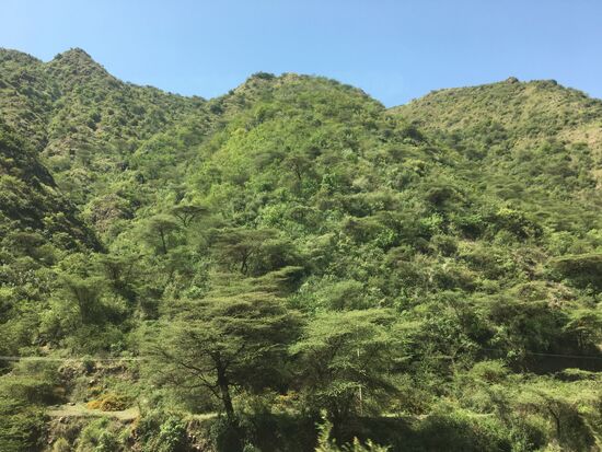 Die LAndschaft ist vielfältig—grün und kahl—bergig vor allem.
Bis jetzt haben die 2 Damen noch keinen „private car“ bekommen—aber die Fahrt ist angenehm, denn jeder hat 2 Plätze für sich!