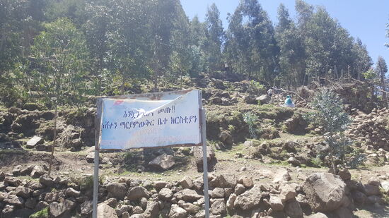 Wir können mit dem Tuktuk ziemlich hoch fahren und werden dabei wieder ordentlich durchgeschüttelt...