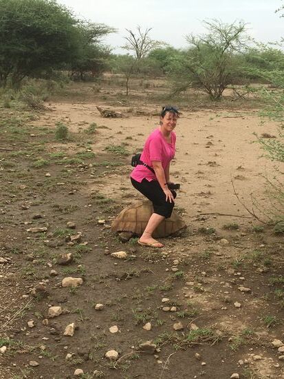 Ich mag mich nicht ganz auf das arme Tier setzen....