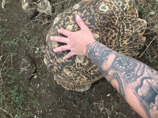 Wer hat die schönere Körperdekoration?