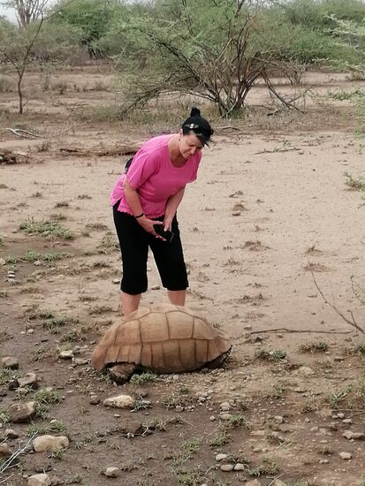 Immer wieder treffen wir welche. Ich liebe diese Tiere!