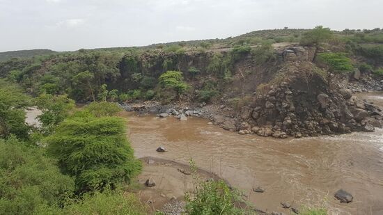Da unten tummeln sich einige Krokodile