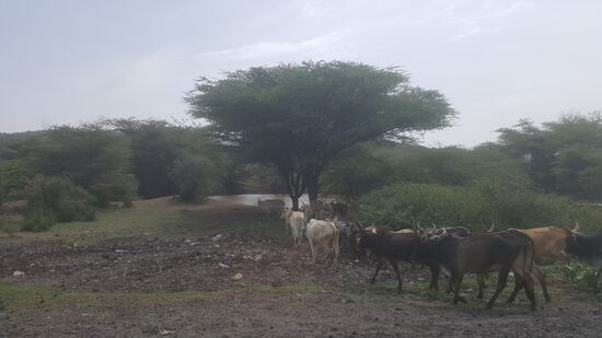 ...um zum Wasser zu gelangen....