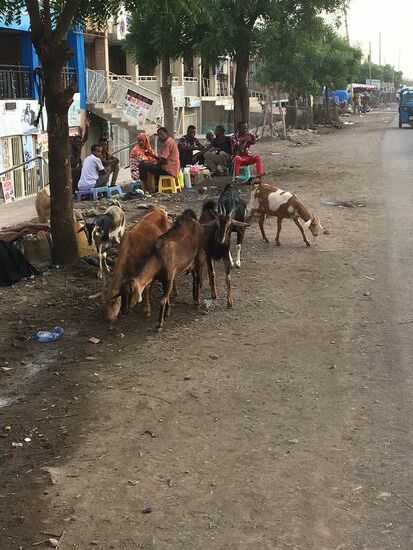 Straßenbild vor unserem Hotel...