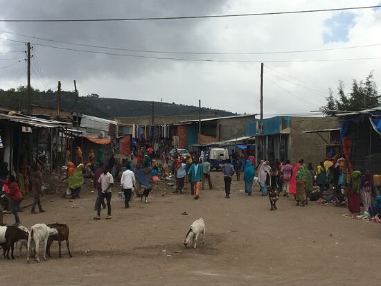 Dorfleben....die Ziegen tollen herum und bekämpfen sich...