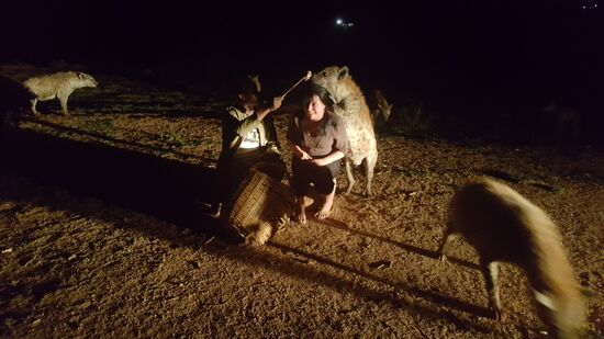 Die Hyänenfütterung ist in der 1850m hohen Stadt ein Spektakel für Besucher, sondern auch eine lange Tradition, der selbst der äthiopische Kaiser Haile schon beiwohnte
