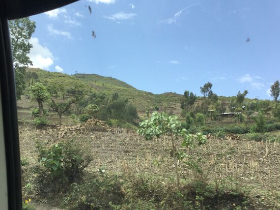 Immer wieder vereinzelte Wohnhütten...