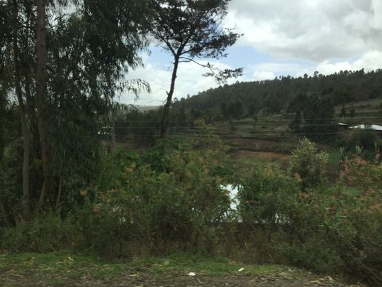 Terrassenförmige Felder, die aber nicht bewirtschaftet sind...
