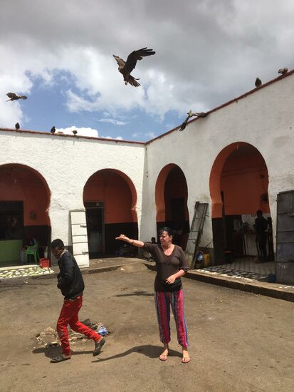 Noch eine Touristenattraktion: Unmengen von Raubvögeln....ich glaube, es ist eine große Falkenart —fressen Kamelfleisch im Flug aus der Hand