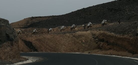 Weiter gehts zum Vulkan....hier sehen wir eine Kamelkarawane...