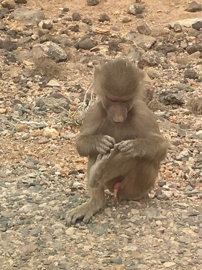 ...was wir natürlich nicht machen...