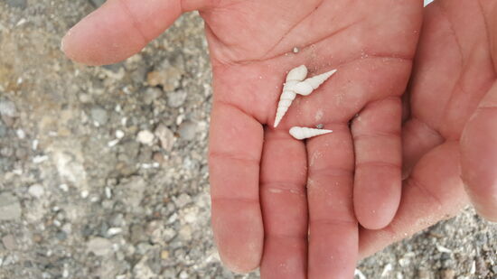 Nach 3 Stunden Fußmarsch sind wir wieder am Auto