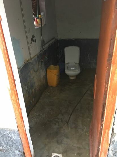 Der morgendliche Klogang geht hier ganz fix...ohne Zeitung und dem ganzen Schnickschnack