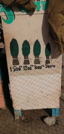 Gibt es hier etwa Spargel??   Neiiin...  das sind Buden die Khat anbieten, wir lehnen mehrfach dankend ab, das Zeug schmeckt nach Zierrasen und macht nicht „high“ ... dann lieber ein 7,50 Euro Bier