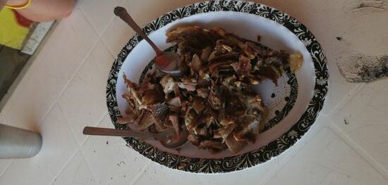 Das zubereitete Ziegenfleisch, etwas kleingehackt ist schmackhaft , auch wenn man weiß und immer wieder beobachten kann, dass die Ziegen unter anderem auch die Plastiktüten am Straßenrand genüßlich wegmampfen