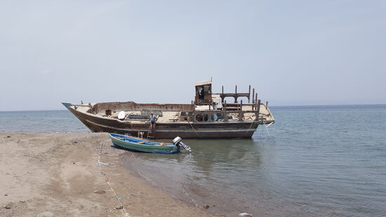 Der Dicke am Boot...(Ruheplatz für etliche Hunde) - Vorsicht