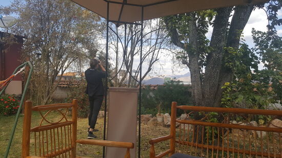 Thalia fotografiert einen Kolibri im Hostel-Garten