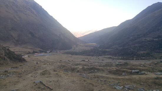 Leider geht es auch wieder hinab—es ist für mich immer genauso schwer wie bergauf.