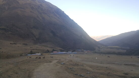 Es wird schon dunkel als auch wir endlich unten sind