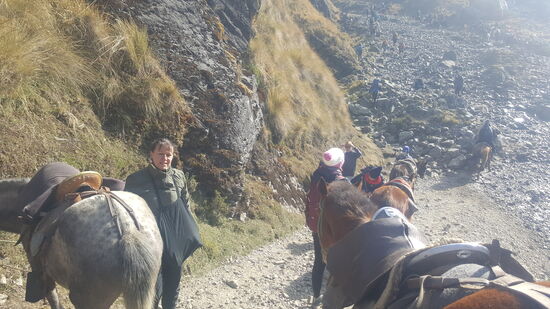 An einer besonders steilen Stelle bergab müssen wir absteigen und die Pferde führen.