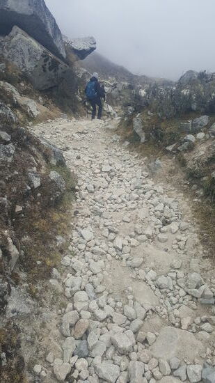 Immer dieser blöde Steinweg—und so gehts immer bergab! Ich muss so höllisch aufpassen-manchmal tritt man auf einen Stein und gerät ins straucheln..