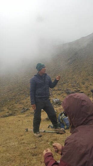 Wir nehmen 3 Coca-Blätter in die rechte Hand und pusten gegen diese 3x in jede Himmelsrichtung, danach klemmen wir die Blätter unter einen Stein.