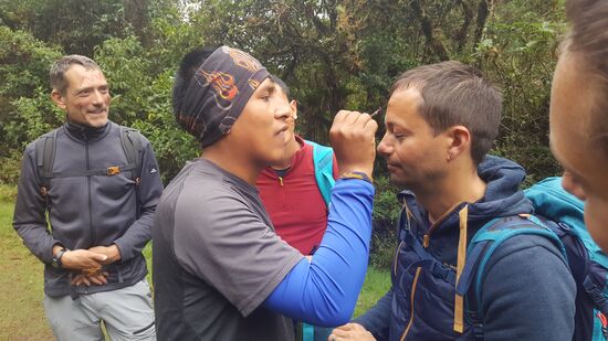 Alle werden mit der Beerenfarbe bemalt