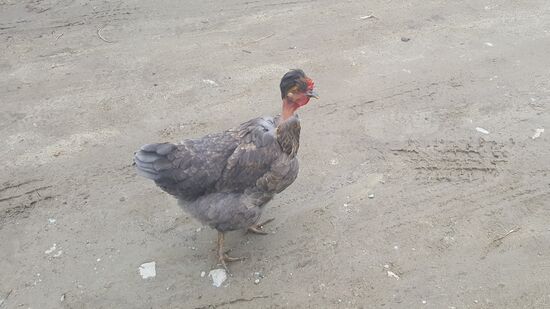 Hallo, kleiner Freund!