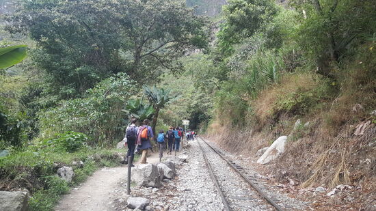 Hier laufen natürlich viele Gruppen und einzelne mit uns.
