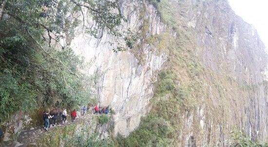 Es sind einige Wagemutige. Ich beobachte das lieber aus der Ferne
