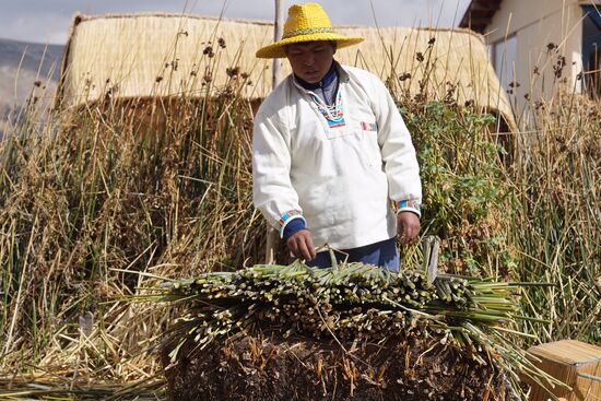 Auf die Wurzelschicht werden die zuvor abgeschlagenen Gräser geschichtet...