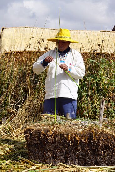 Das Gras, das auf den Blöcken wächst, muss abgeschlagen werden.