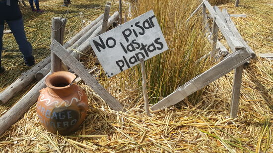 Verständlich, denn überall gibt es „baños“
